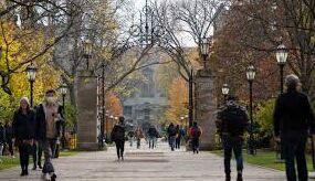 Chinese Students With U.S. Degrees Struggle Back Home